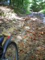 In prvo "veselje" kolesarjenja po blatni gozdni poti